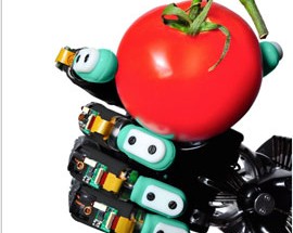 Robotics for Intelligent Factories