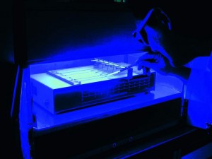 LEDs in UV LED Curing