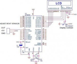 interfaces adc microcontrollers