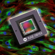 ON Semiconductor Expands Imaging Options for Extreme Low-Light Imaging