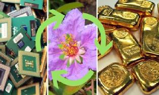 Credit: https://www.thebetterindia.com