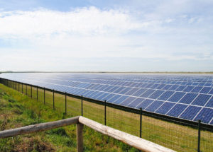 Solar and renewable energy trends in 2019