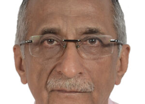 We have to give equal importance to developing a component industry that supports the end product, sort of forward and backward integration