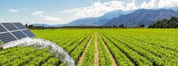 Infineon to foster local entrepreneurship in green agriculture