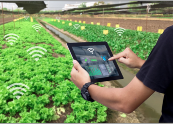 Precision Farming Fueled by Big Data