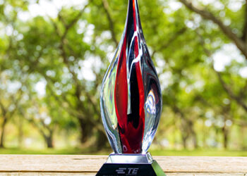 Mouser Electronics Named Global High Service Distributor of the Year by TE Connectivity