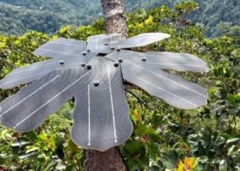 Protecting the rainforest with modern technology: Infineon Technologies and Rainforest Connection use sensor technology to protect vulnerable regions