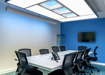 Signify launches NatureConnect lighting at India Light Festival 2024