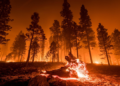 IoT Outdoors: Understanding its Key Role in Disaster Management